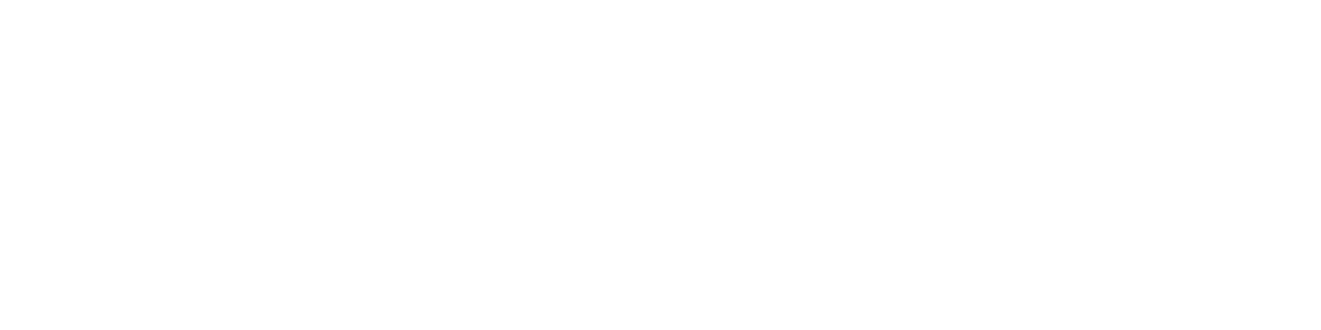 Curves Brasileira – Brazilian Lymphatic Massage